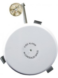 In ceiling detector mount