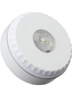 Solista LX Ceiling White